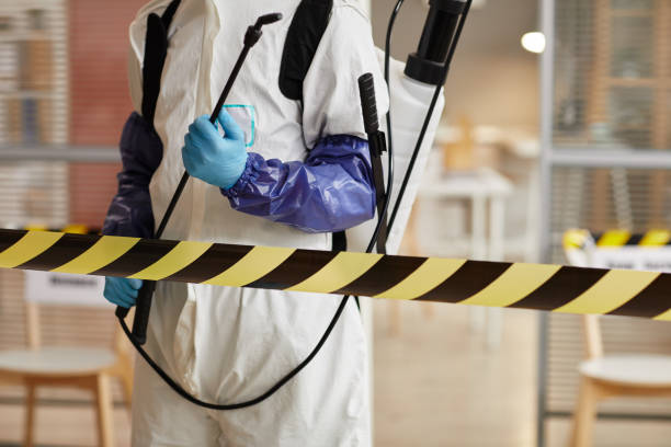 Professional Sewage Cleanup technician working in Alma, GA